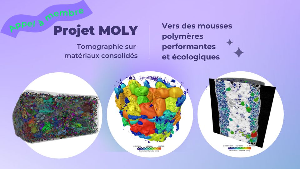Projet MOLY : vers des mousses polymères performantes et écologiques