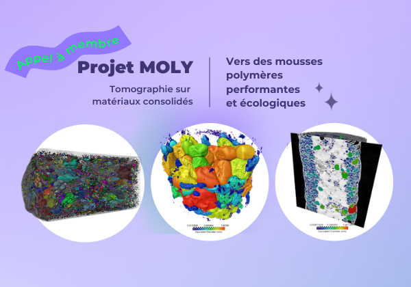 https://www.irt-saintexupery.com/fr/projet-moly-vers-des-mousses-polymeres-performantes-et-ecologiques/