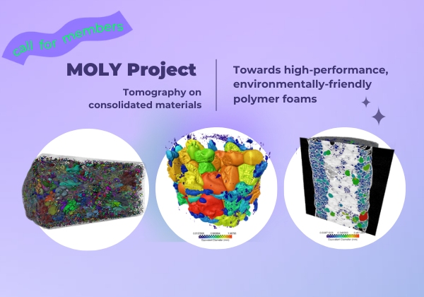 moly-project-towards-high-performance-environmentally-friendly-polymer-foams/