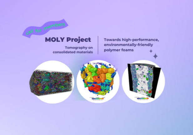 moly-project-towards-high-performance-environmentally-friendly-polymer-foams/