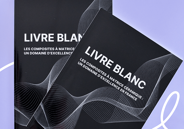 livre-blanc-FV-v2 (1)